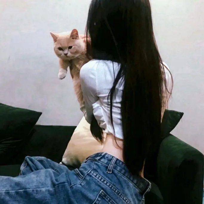 55步