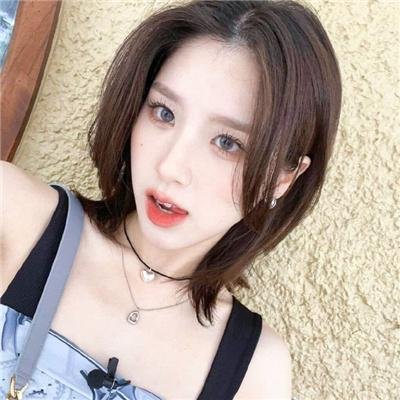 新猛龙过江